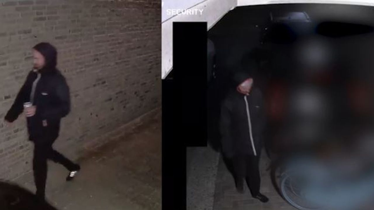 De door de politie verspreide foto's (foto: politie Oost-Brabant).