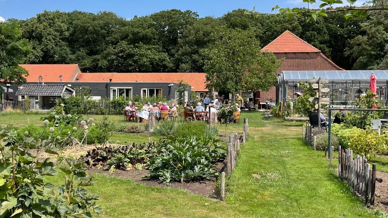 De tuin van Frits en Fruitig (foto: Omroep Brabant)