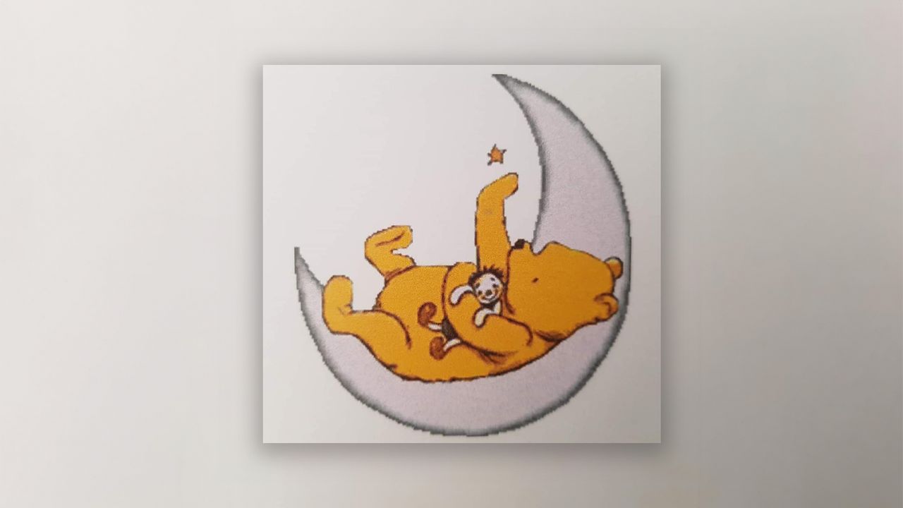 De afbeelding op het geboorte- en overlijdenskaartje van Thijn (privéfoto).