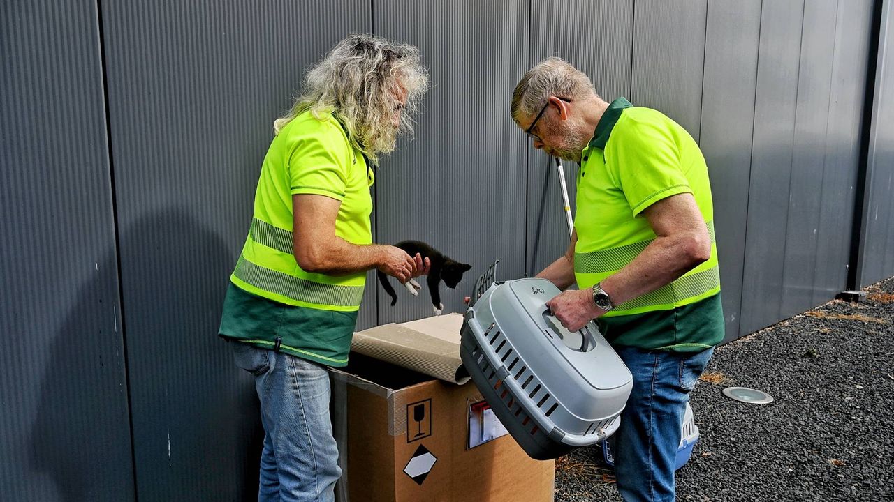 Foto: Toby de Kort / Persbureau Heitink