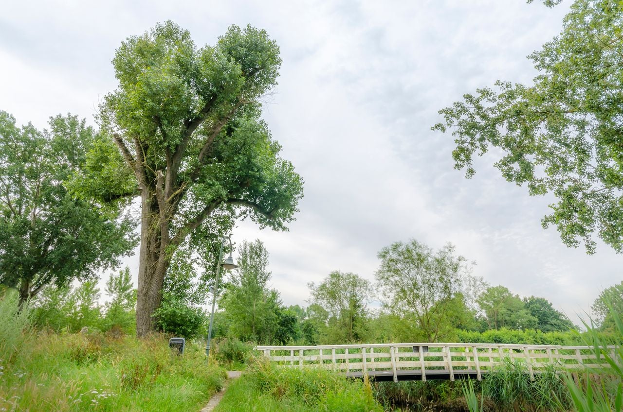 Foto: SBNL Natuurfonds