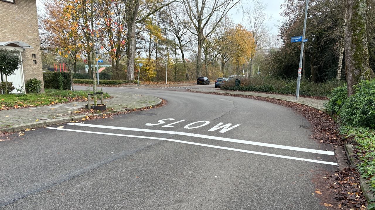 Op de weg bij een middelbare school in Eindhoven staat voortaan 'slow' omdat je daar langzaam moet rijden (foto: Rogier van Son).