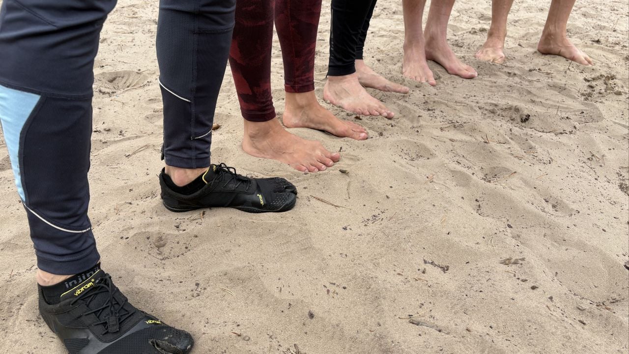 De hardlopers zijn klaar voor een ronde in de bossen bij Oisterwijk (foto: Wilco Zonneveld).