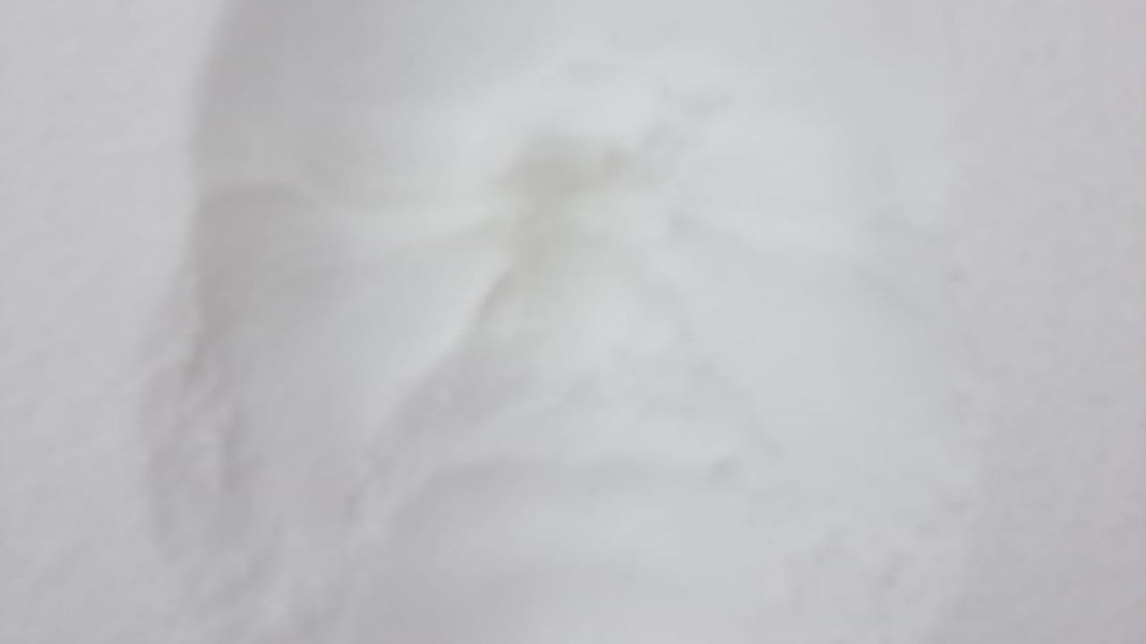 Foto: Saskia Rustenhoven