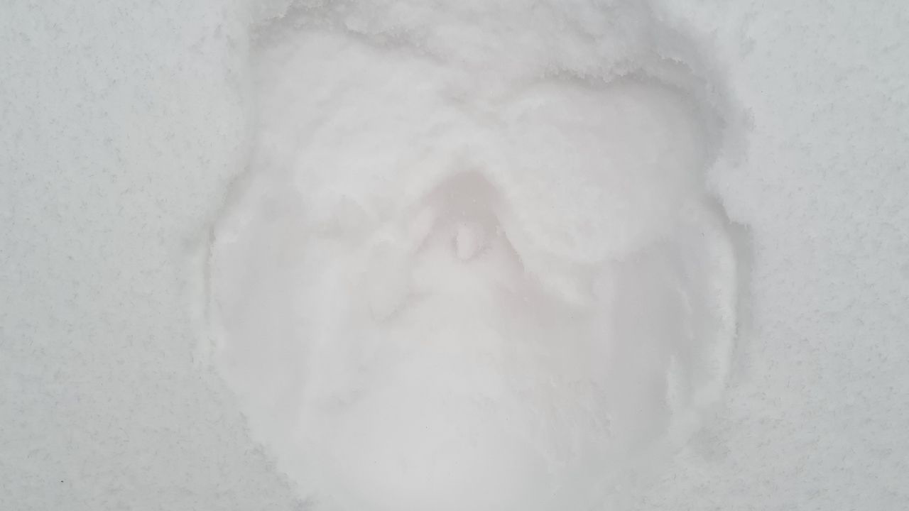 Foto: Hanneke van Raaij