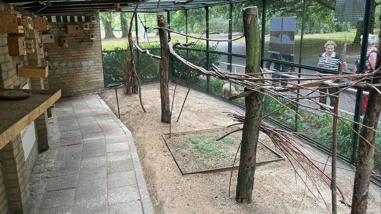 De volière is dinsdag helemaal leeg (foto: Henk van Hout).