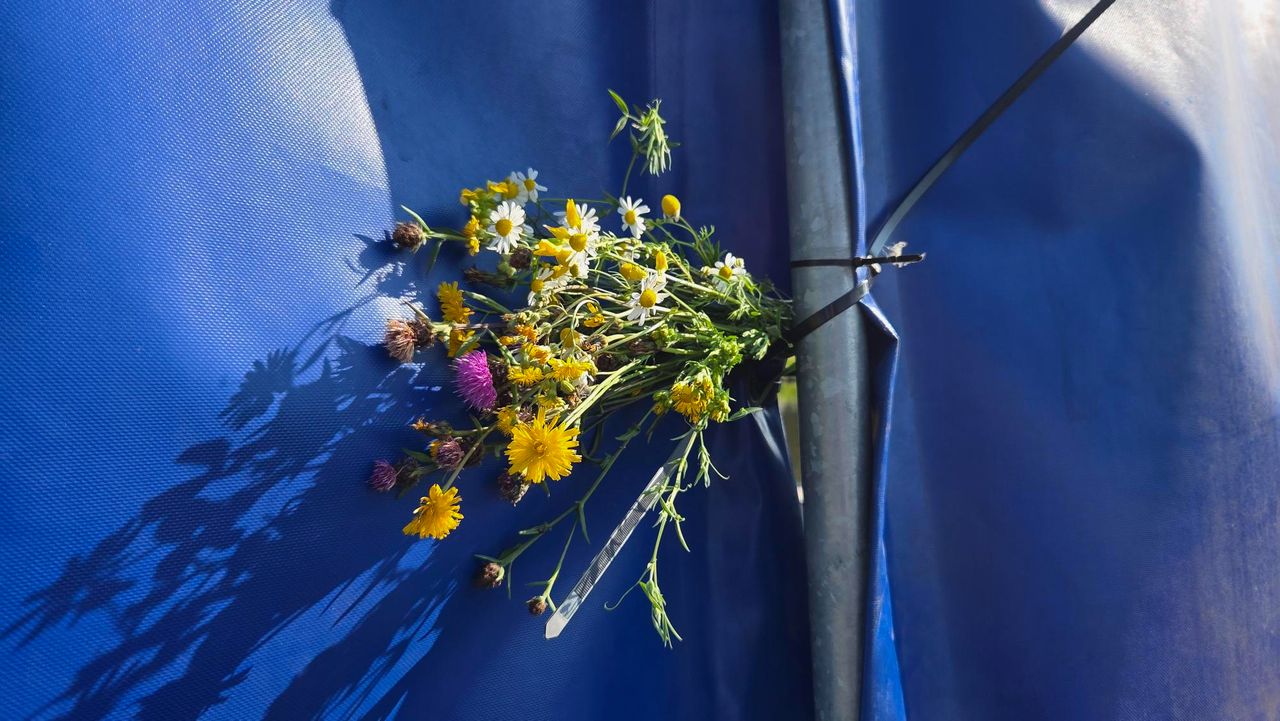 Foto: Noël van Hooft.