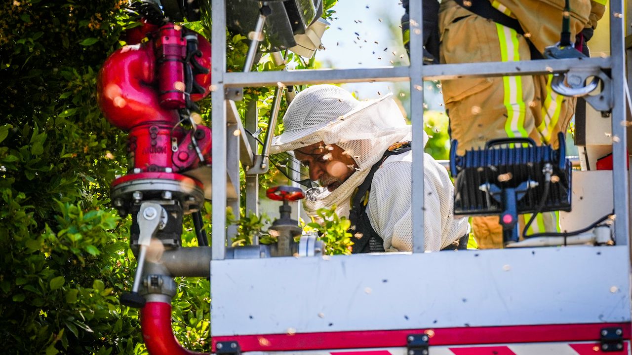 (Foto: Persbureau Heitink)