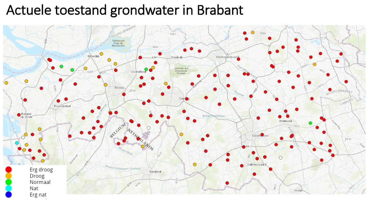 De droogte in Brabant, gemeten aan de hand van het grondwaterpeil (bron: Waterschap Aa en Maas)