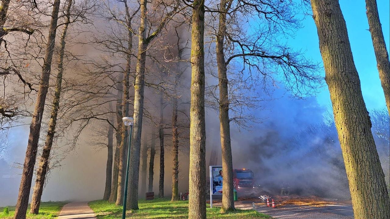 Foto: Rico Vogels / Persbureau Heitink.