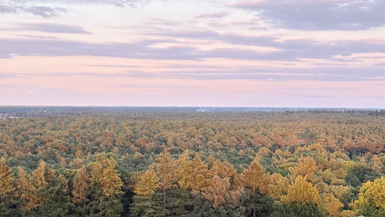 In de verte is rook te zien, de foto is gemaakt vanuit de Pagode in de Efteling (foto: Nelleke Arnout).