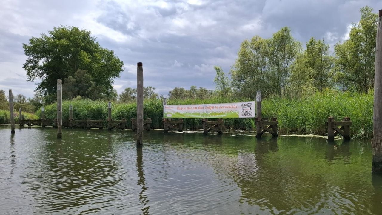 De aanlegsteiger bij de Benedenste Jannezand in de Biesbosch is aan vervanging toe (foto: Stichting Biesbosch Vaantje)