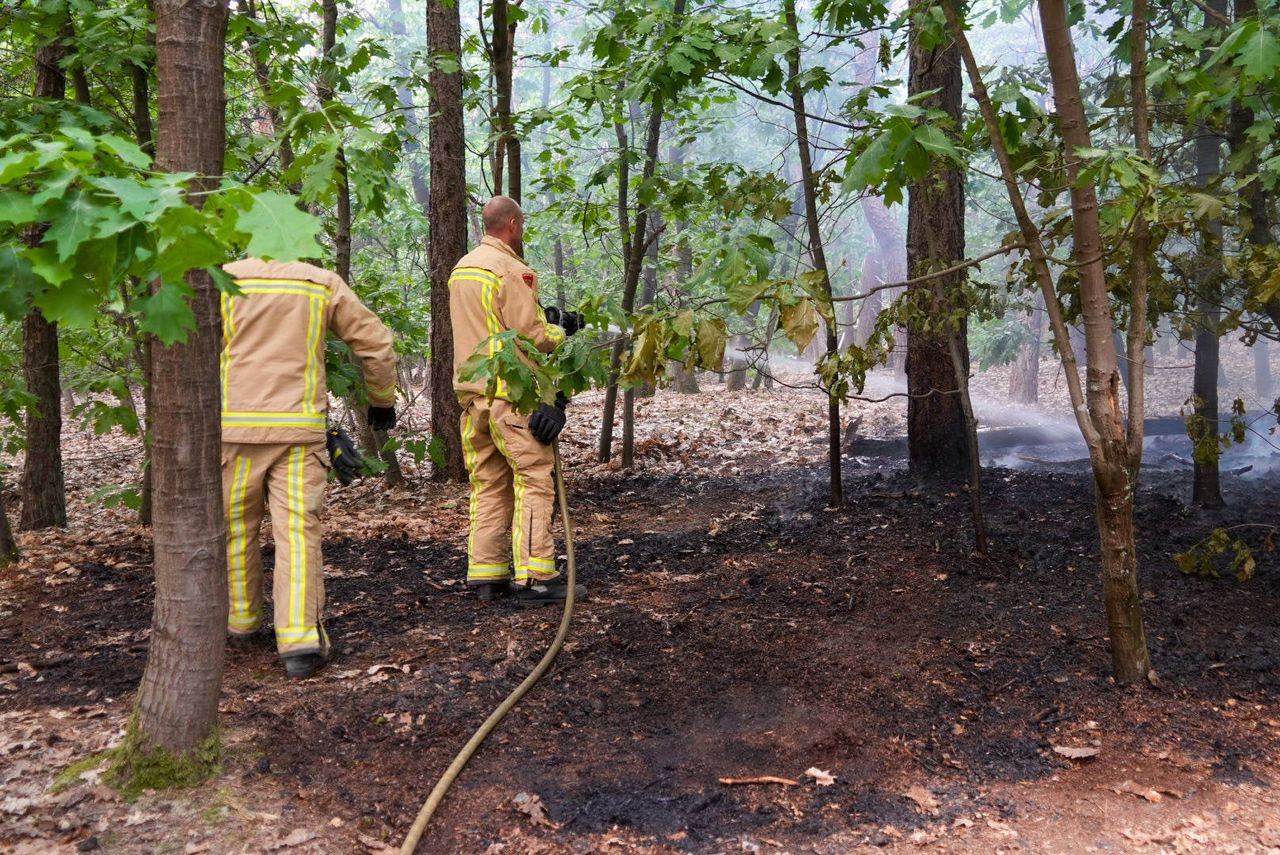 De brandweer aan het werk (foto: Harrie Grijseels/Persbureau Heitink).
