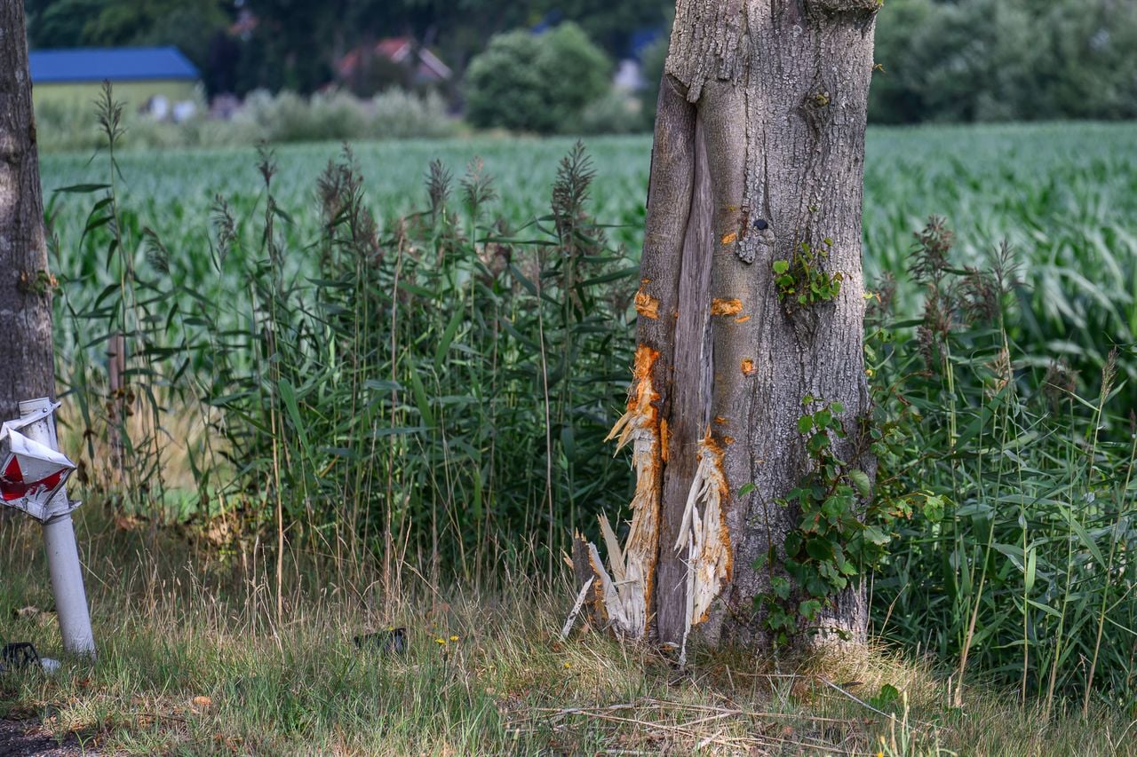 De zwaar beschadigde boom (foto: Tom van der Put/Persbureau Heitink).