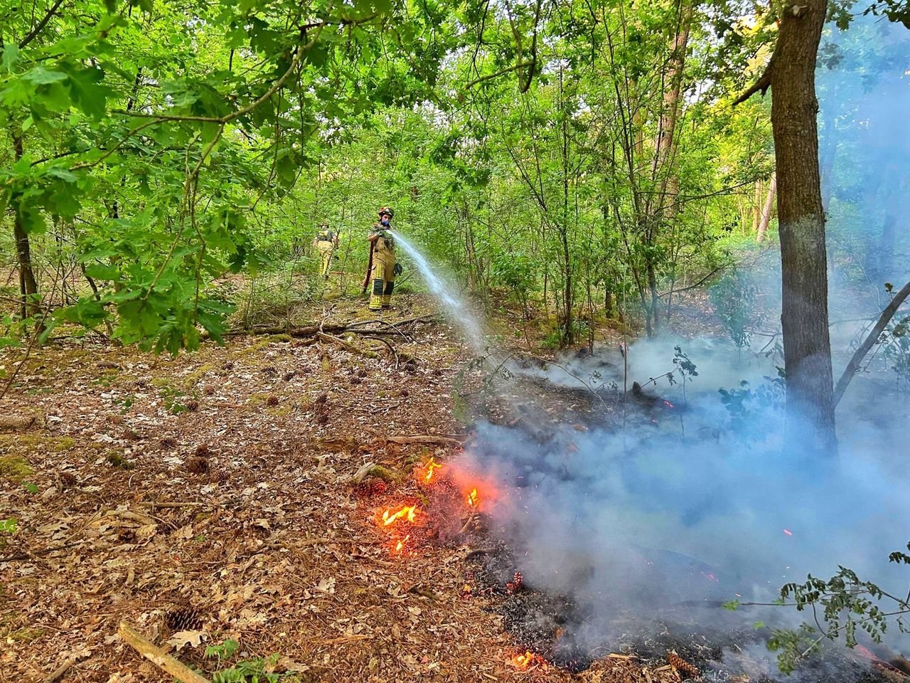Foto: Rico Vogels/Persbureau Heitink.