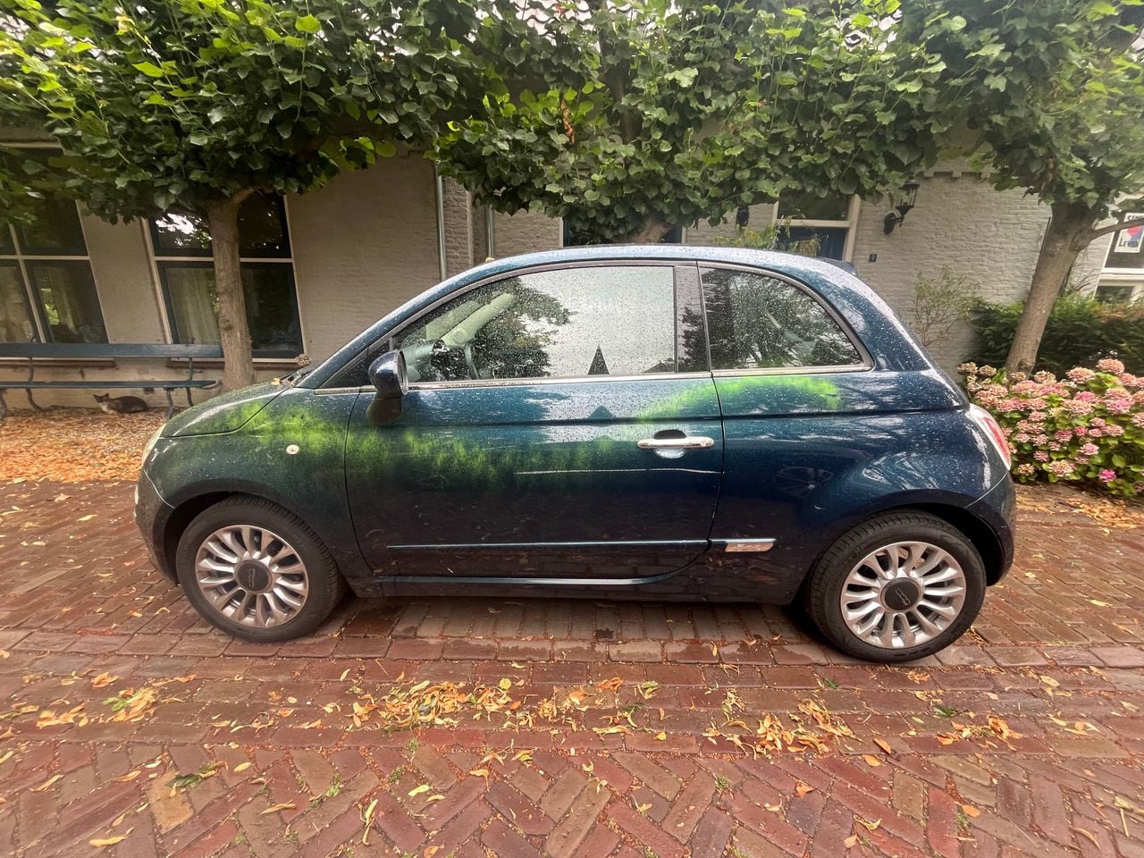 Ook auto's zijn vernield (foto: Omroep Brabant).
