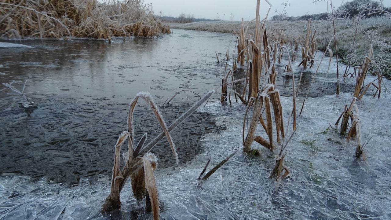 IJs in Stiphout (foto: Willem van Nunen)