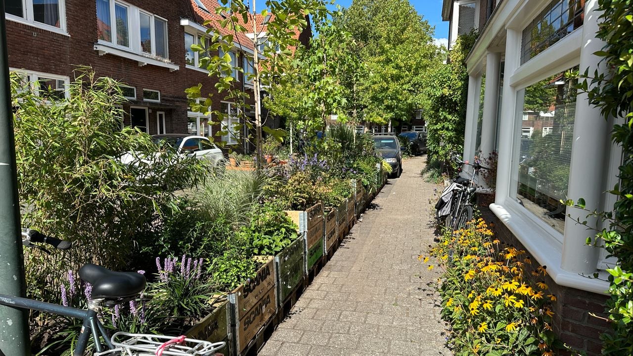 Geen auto, maar groen voor de deur (foto: Rogier van Son). 