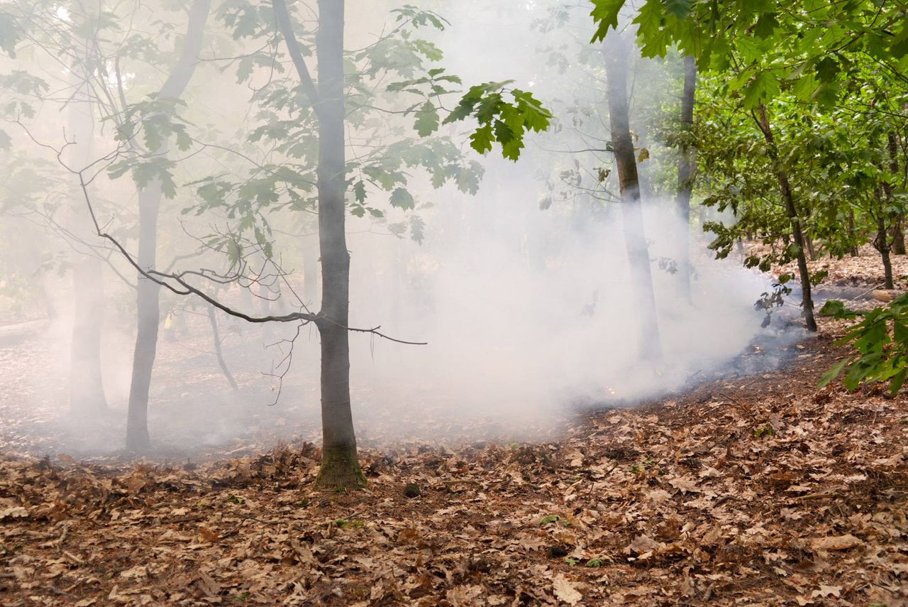 Er kwam veel rook vrij (foto: Harrie Grijseels/Persbureau Heitink).