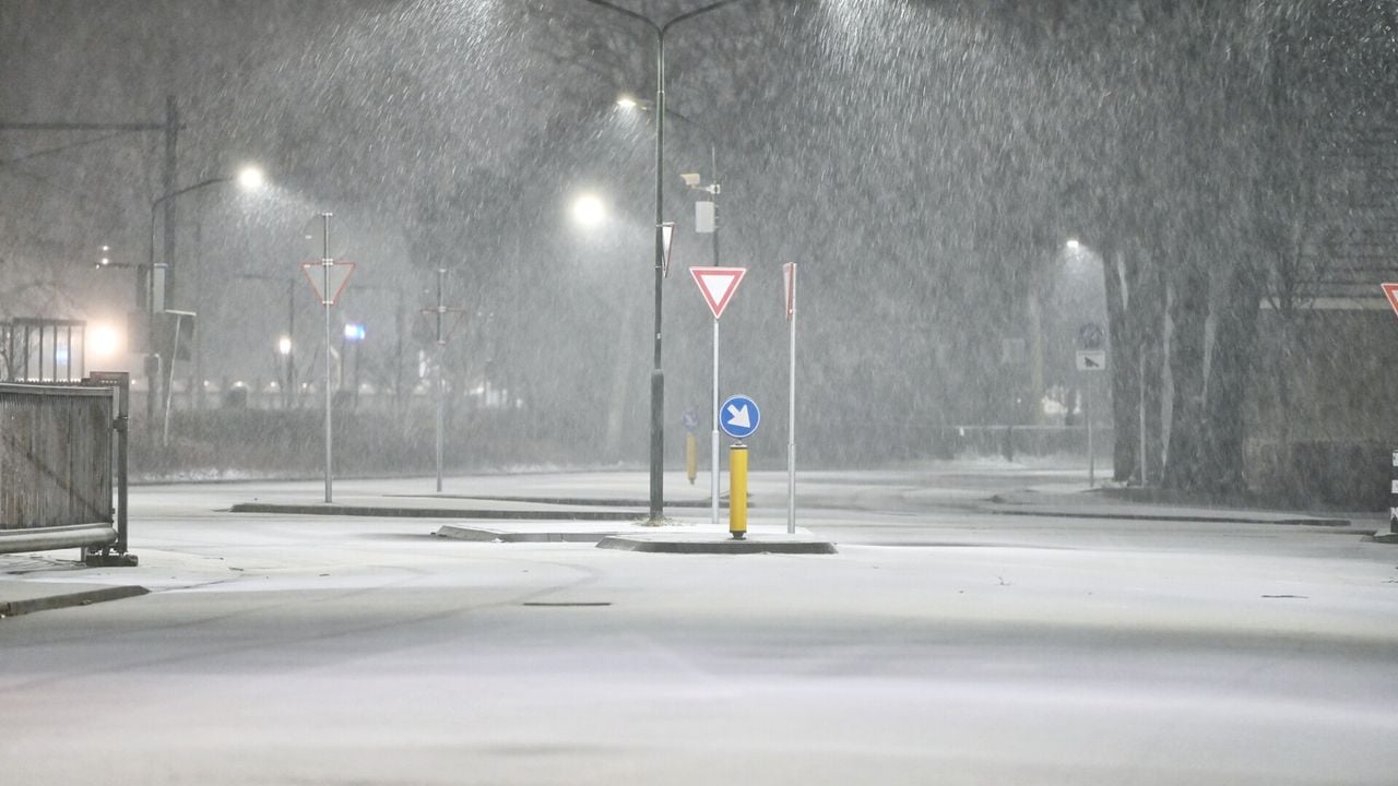 Oisterwijk kleurt wit (foto: Toby de Kort).