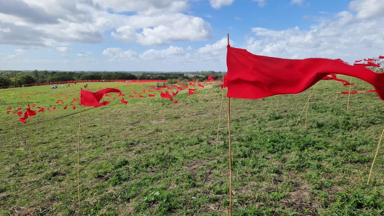 De zee van rode vlaggen op de Vlagheide in Schijndel (Foto: Tom Berkers).