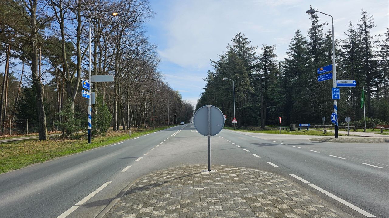 Ondanks de vluchtheuvel halverwege de weg gaat het vaak mis. (Foto: Karin Stokman)