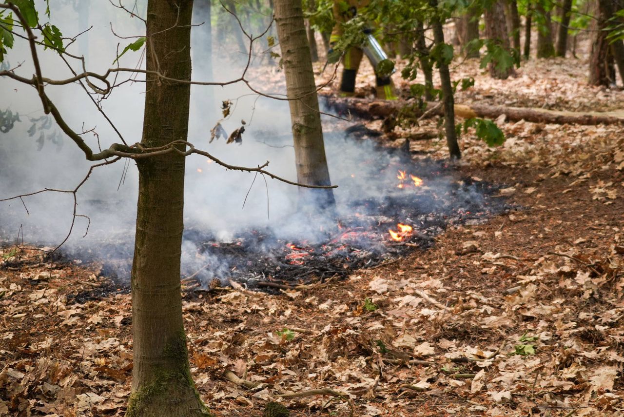 Foto: Harrie Grijseels/Persbureau Heitink.