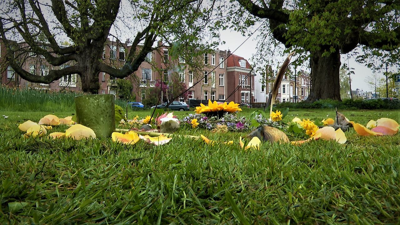 De mandala voor de oude kastanjes in Breda. (foto: Raoul Cartens)
