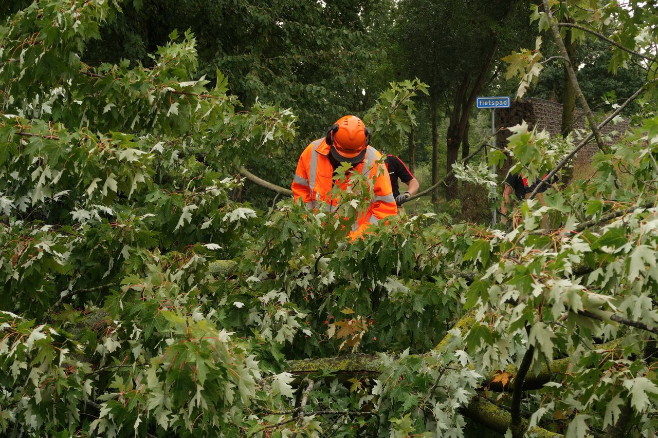 Foto: Persbureau Heitink.