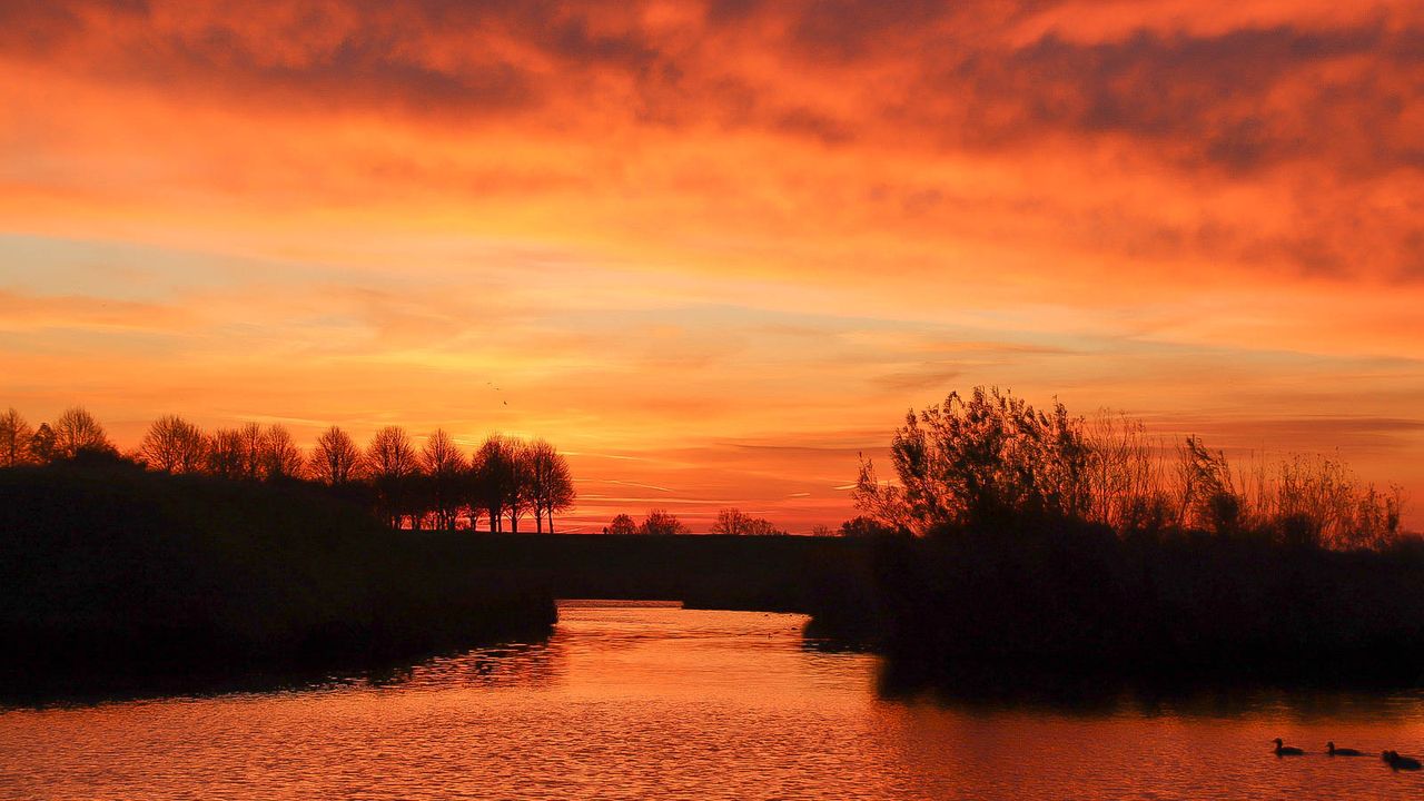 Heesbeen. Foto: Lida Verkade.