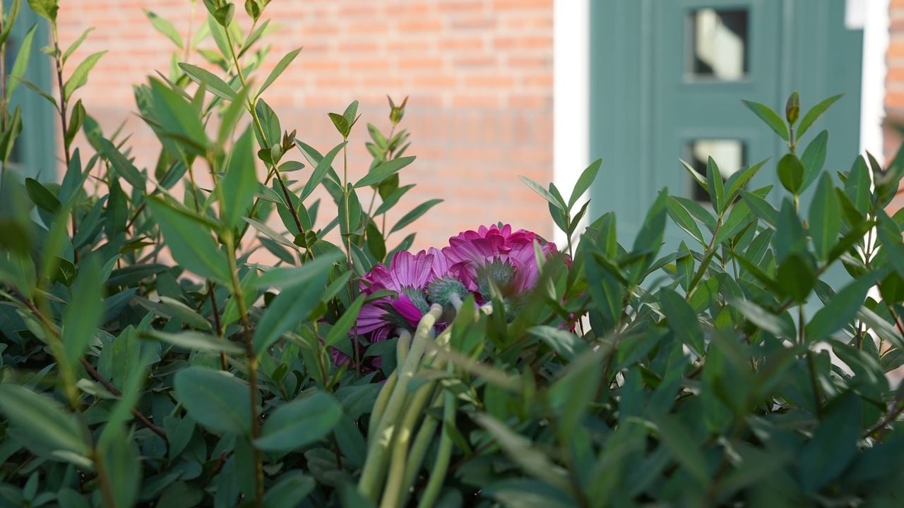 Foto: Bart Meesters / Persbureau Heitink