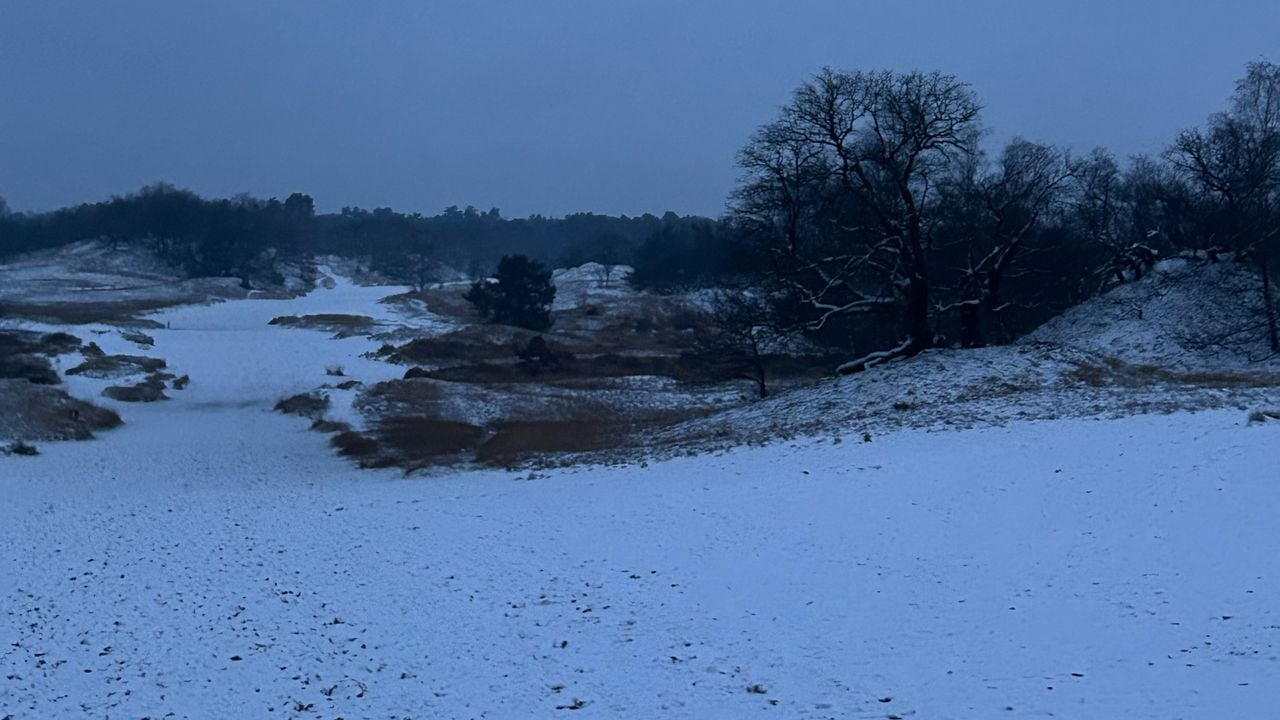 Sneeuw in de Loonse en Drunense duinen (Foot: Martin van Haaren)