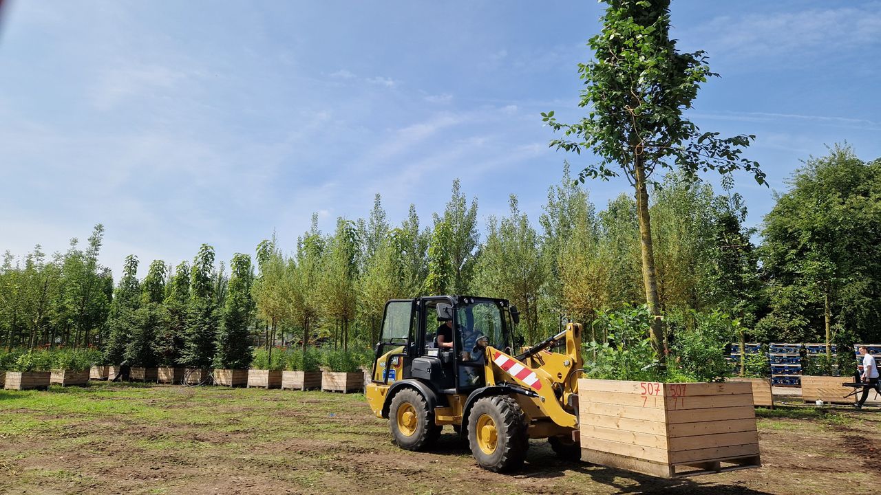 Het terrein met de 750 bomen (foto: Tom Berkers).
