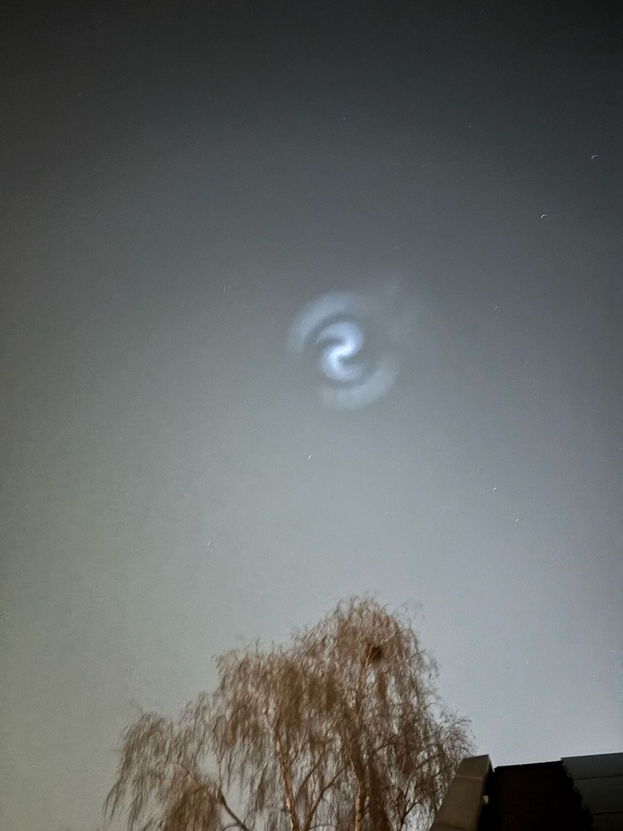 Sanne spotte het vreemde verschijnsel in Mariaheide (foto: Sanne van 't Westeinde).