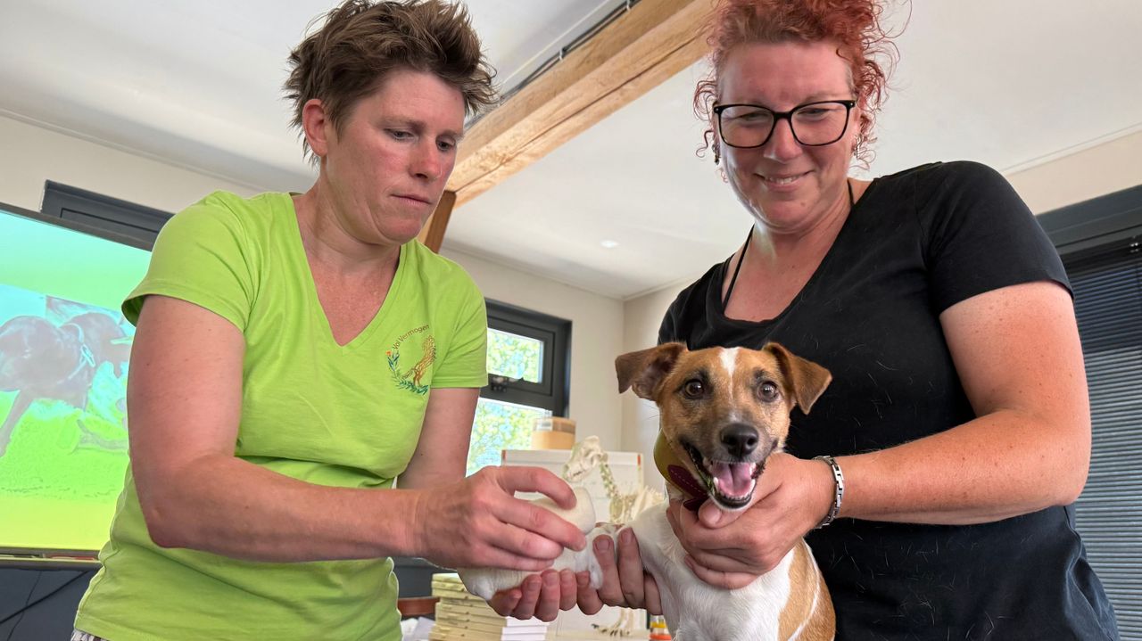 Cursisten leggen een verband aan tijdens de cursus (foto: Erik Peeters).