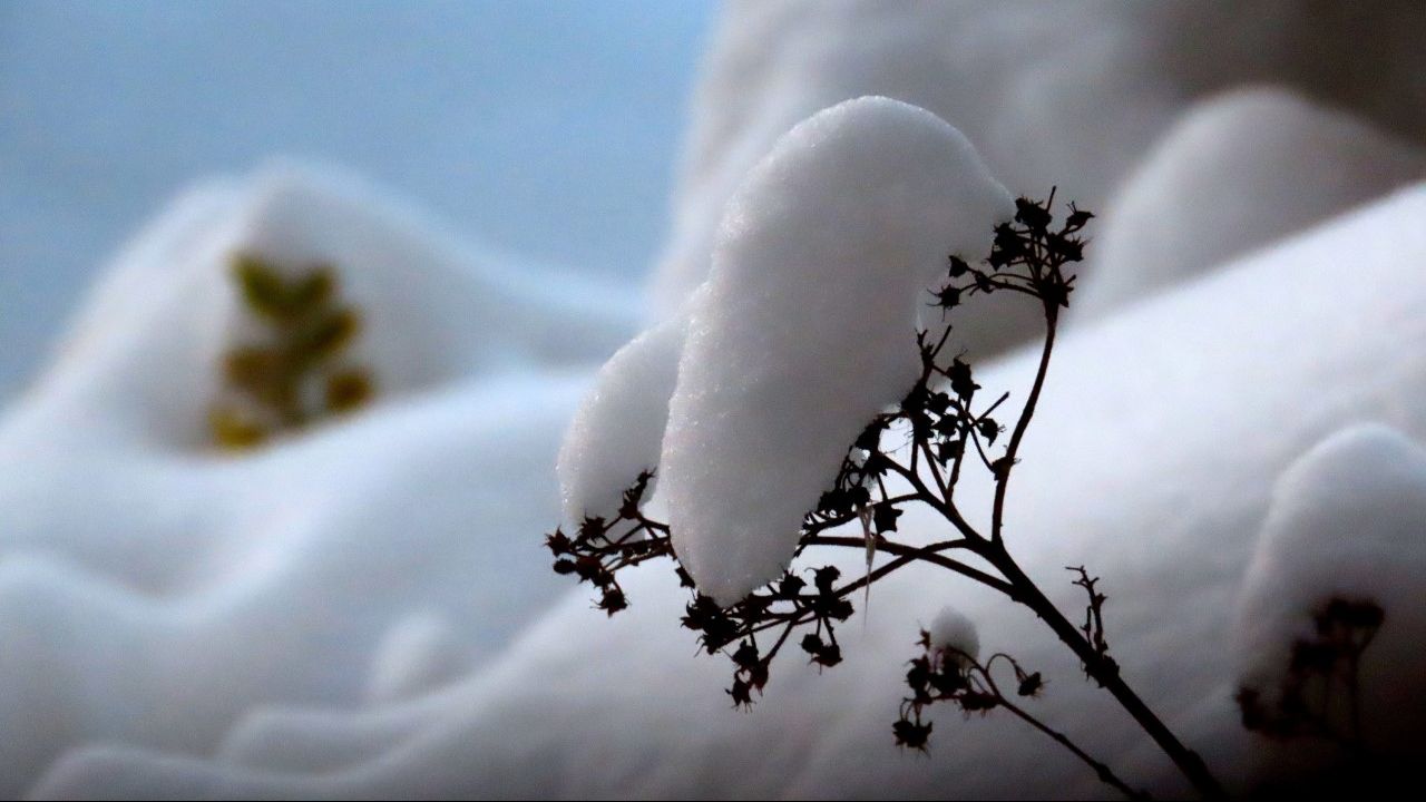 Het is een dotje (Margreet van Vianen)