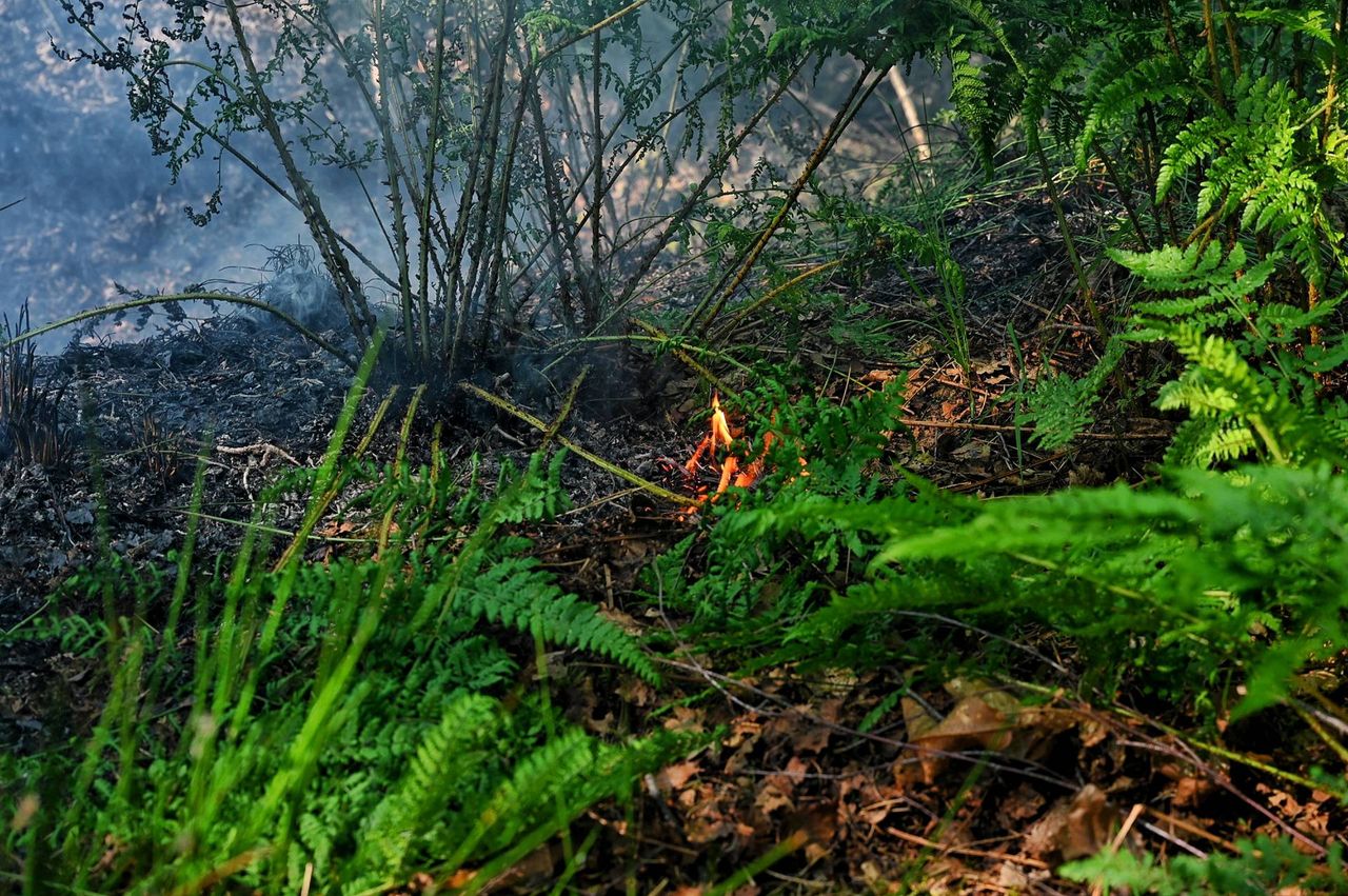 Foto: Toby de Kort/Persbureau Heitink.