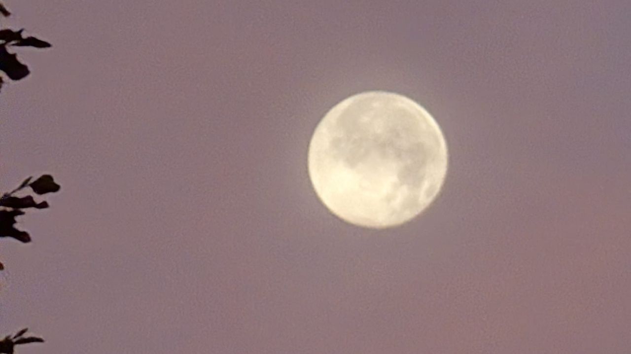 Foto: Wim Hamerling.