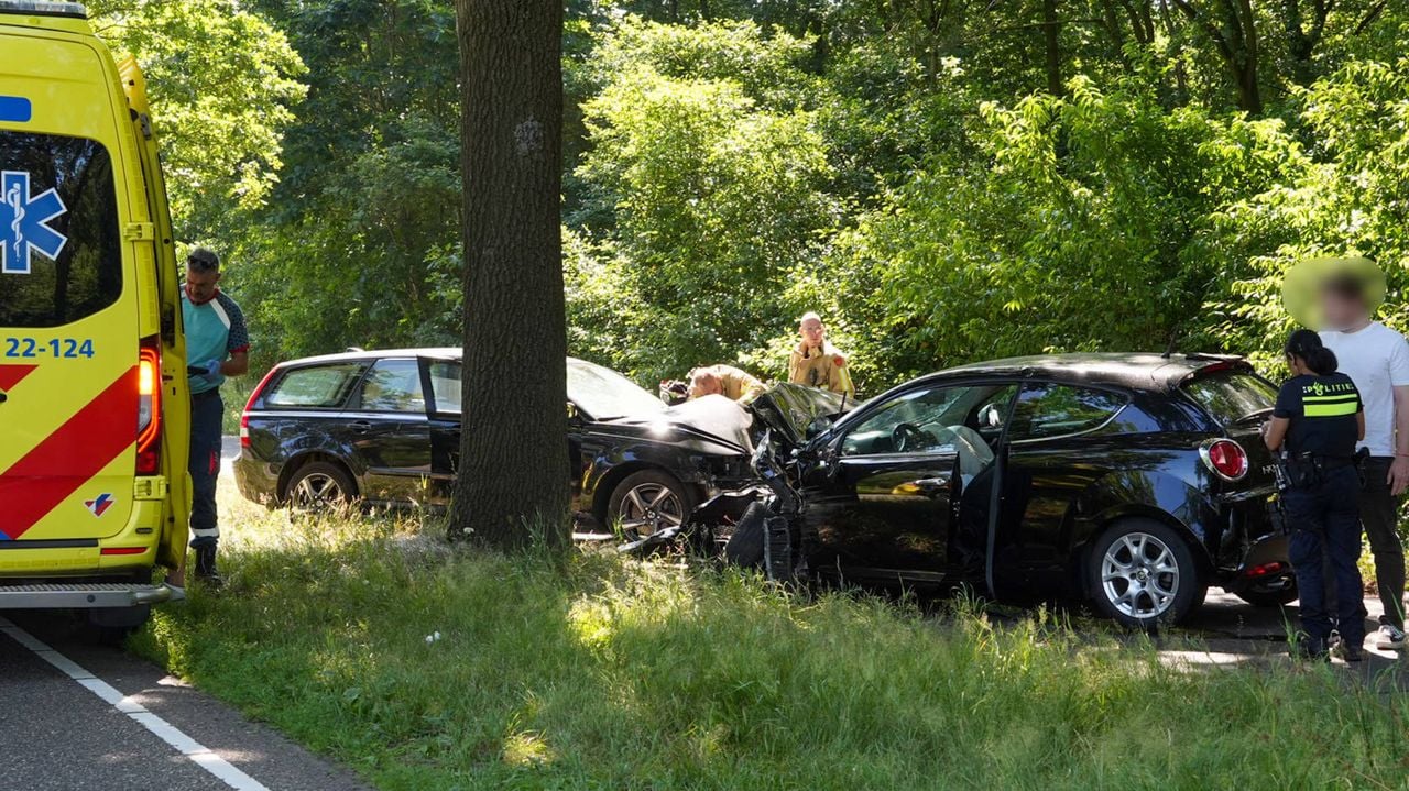 Foto: Harrie Grijseels / Persbureau Heitink