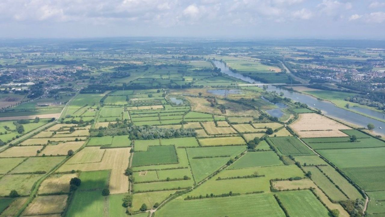 De Maasheggen bij Oeffelt van boven (foto: Lars van Peij).