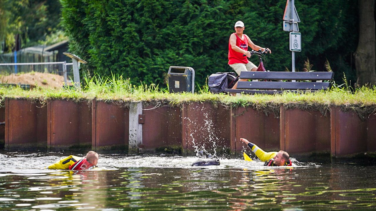 Foto: Sem van Rijssel/SQ Vision