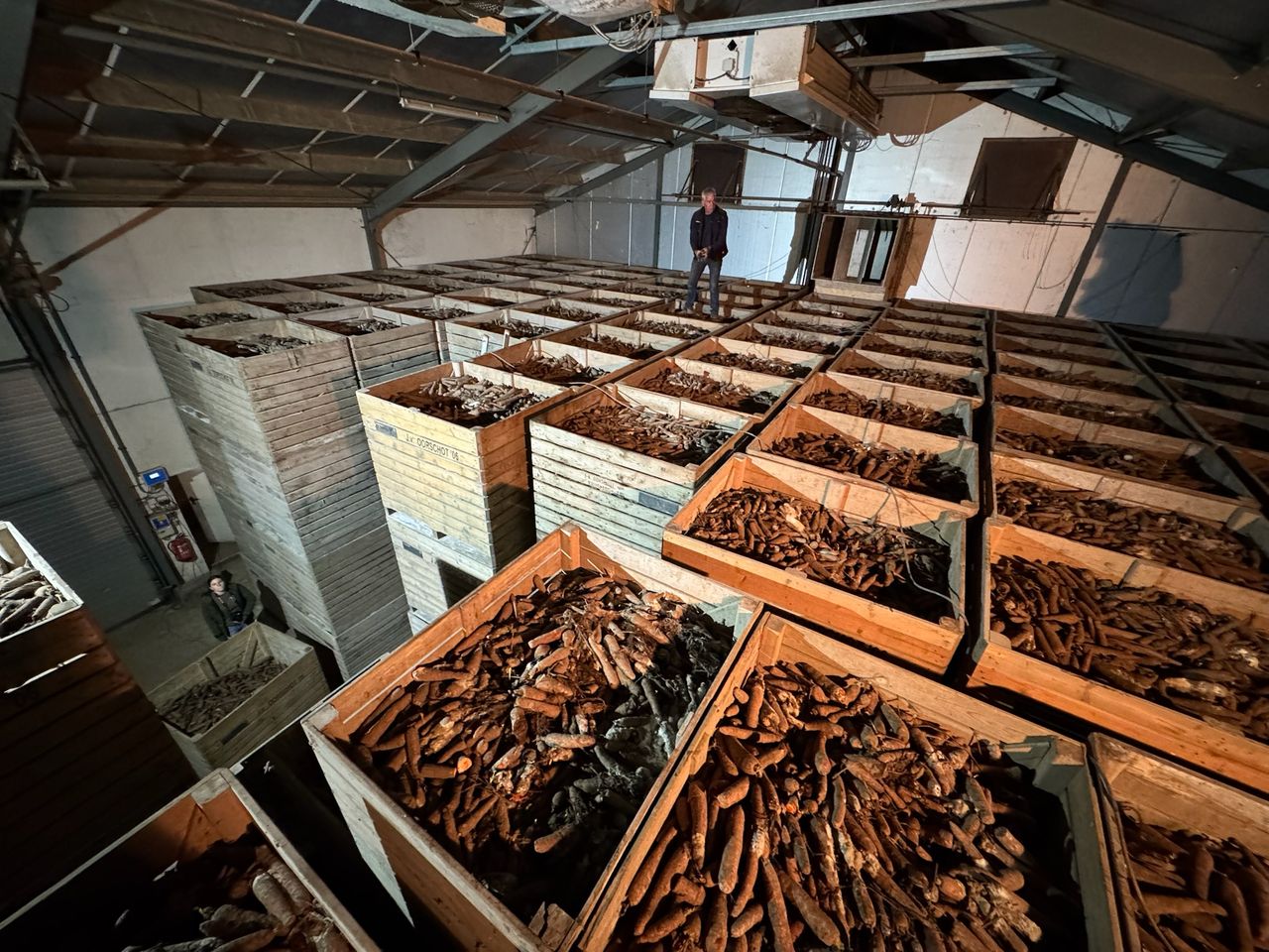 Jack boven zijn tweehonderd ton aan wortelen (foto: No Waste Army).