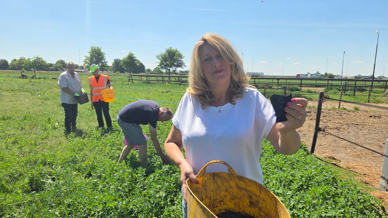 Saskia Keijsers in haar weiland (foto: Noël van Hooft).