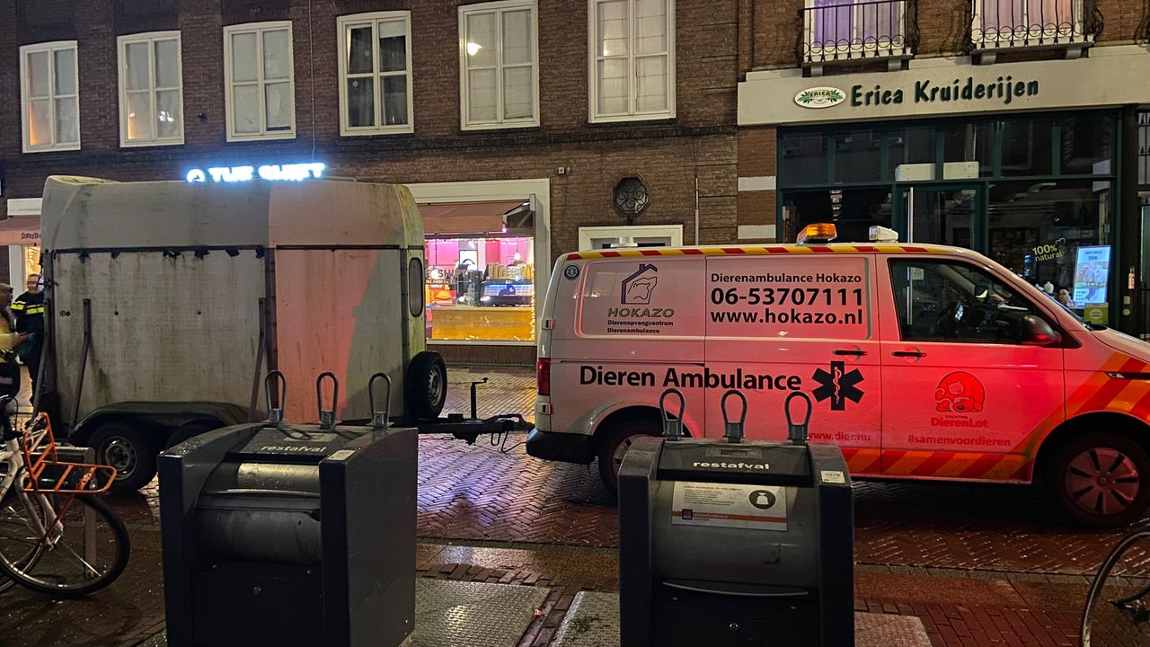 Foto: Dierenambulance Den Bosch.