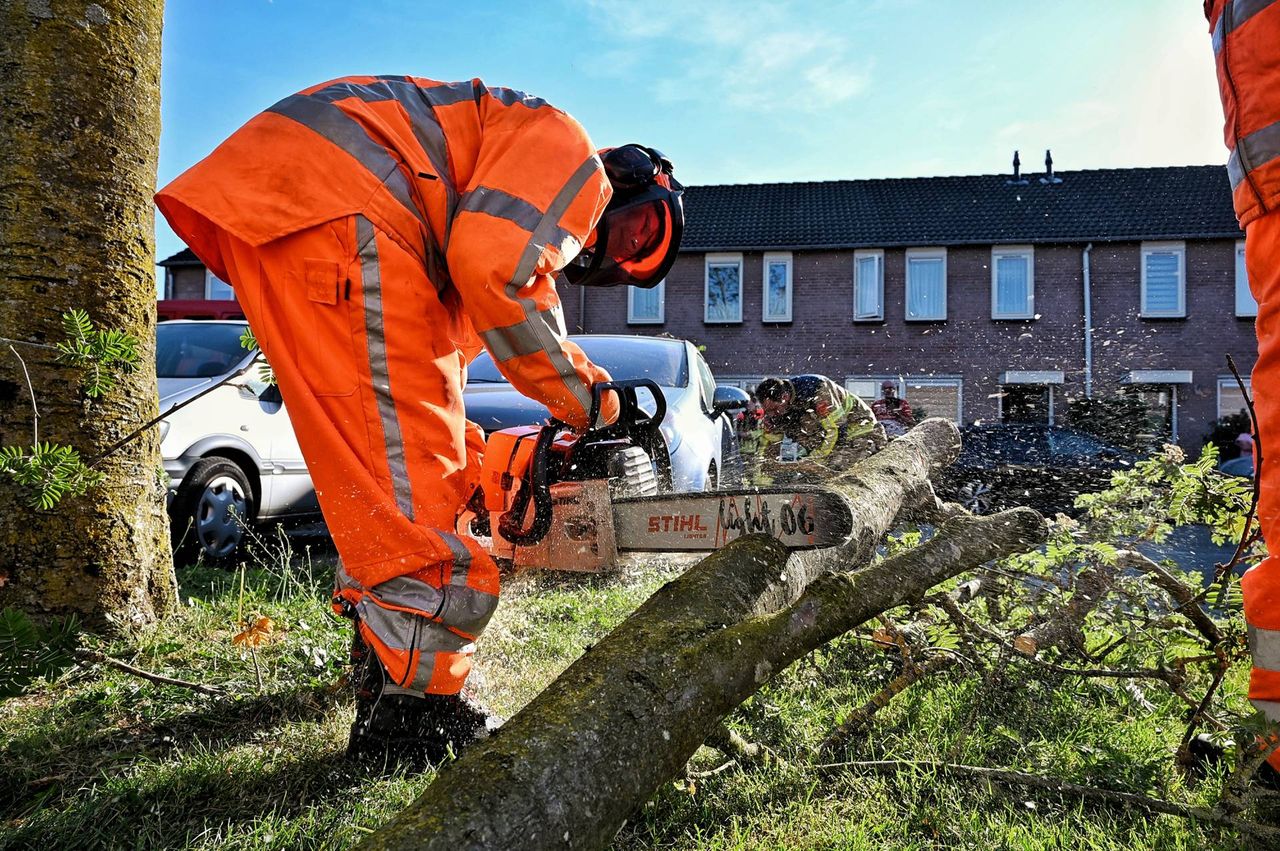 Foto: Toby de Kort/Persbureau Heitink.
