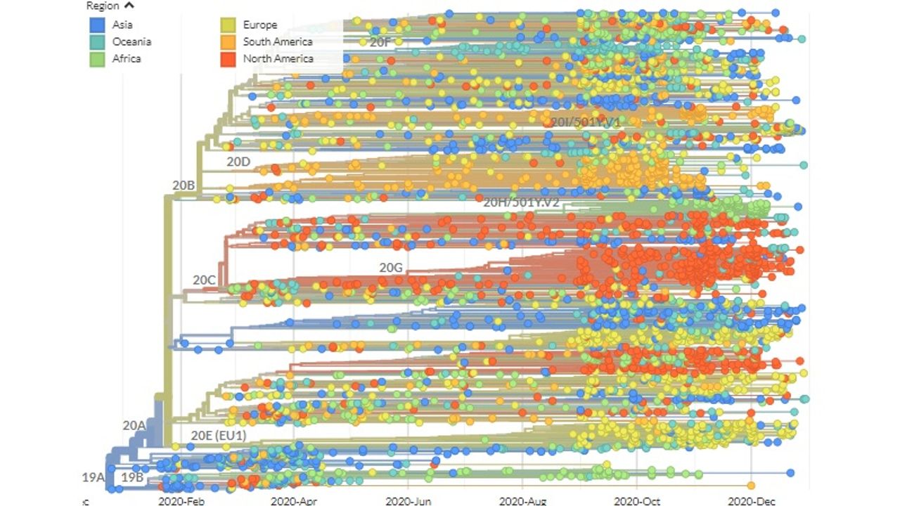 Er zijn wereldwijd bijna vierduizend mutaties van het coronavirus bekend, weergegeven in deze afbeelding (bron: Nextstrain).