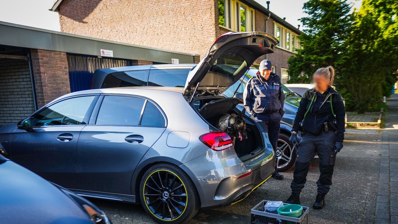 Een speurhond doorzoekt de auto (foto: SQ Vision).