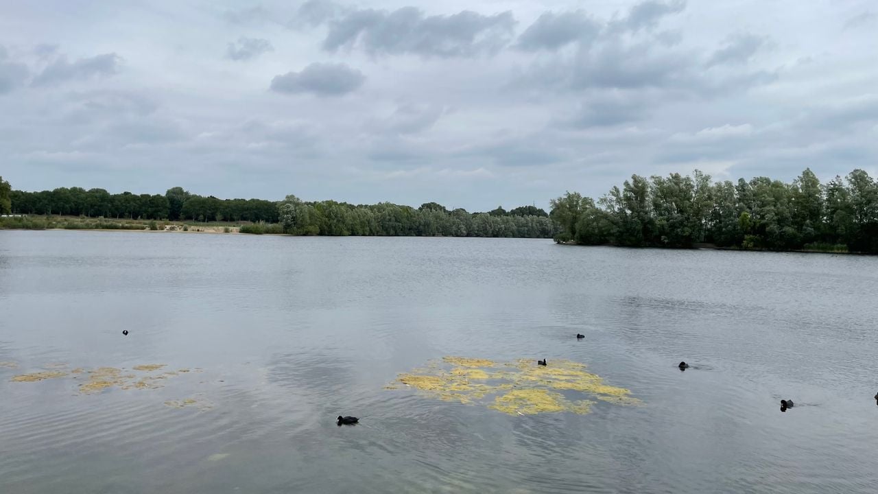 De Oostplas in Goirle (foto: Omroep Brabant).
