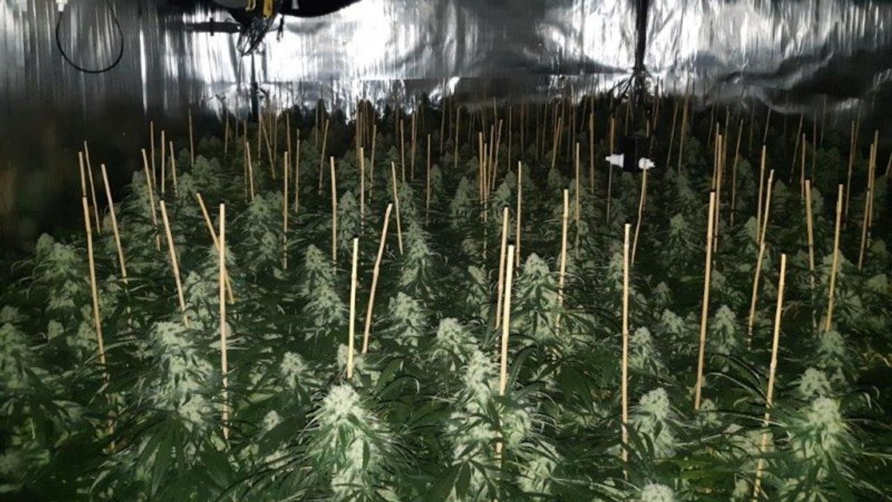 Illegale sigarettenfabriek opgerold in Veen (foto: FIOD)