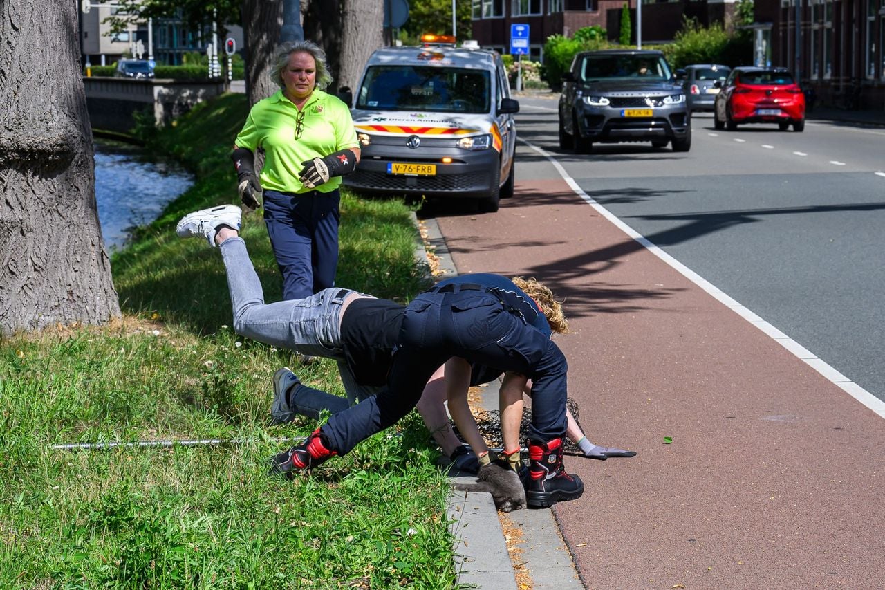 Foto: Tom van der Put/Persbureau Heitink